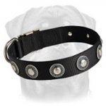 Distinguished Nylon Dog Collar Features Gorgeous Silver Conchos
