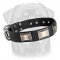 Beautiful Leather Rottweiler Collar Decorated with Large Nickel Plated Plates