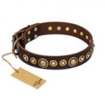 "Ancient Warrior" FDT Artisan Fancy Leather Rottweiler Collar with Old-Bronze Plated Decorations