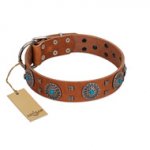 "Blue Sands" FDT Artisan Tan Leather Rottweiler Collar with Silver-like Studs and Round Conchos with Stones