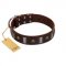 "War Chief" FDT Artisan Genuine Brown Leather Rottweiler Collar with Skulls and Plates