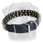 Spiked Leather Dog Collar for Rottweiler