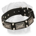 War Rottweiler Leather Collar