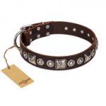 "Pierian spring" FDT Artisan Brown Leather Rottweiler Collar with Silvery Decorations