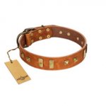 "Sand of Time" FDT Artisan Tan Leather Rottweiler Collar with Old Bronze-like Studs and Plates