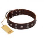 "Skull Valley" Handcrafted FDT Artisan Brown Leather Rottweiler Collar with Skulls