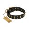 "Medieval Style" FDT Artisan Leather Rottweiler Collar with Brass Plates and Spikes