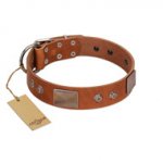 "Great Obelisk" Handcrafted FDT Artisan Tan Leather Rottweiler Collar with Large Plates and Pyramids