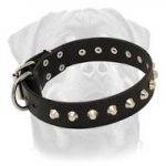 Leather Rottweiler Collar with Nickel-Plated Pyramids