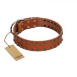 "Star Light" Stylish FDT Artisan Tan Leather Rottweiler Collar with Silver-Like Studs