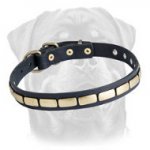 Special Leather Dog Collar Adorned with Brass Plates for Rottweiler