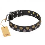 "Romantic Breeze" FDT Artisan Black Leather Rottweiler Collar with Elegant Circles