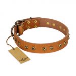 "Autumn Story" FDT Artisan Leather Rottweiler Collar with Old Bronze Look Studs