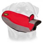 Indispensable Winter Dog Coat-Padded Outdoor High Quality Rottweiler Wear