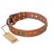"Stunning Dress" FDT Artisan Tan Leather Rottweiler Collar with Old Bronze Look Plates and Studs