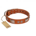 "Pawsy Glossy" FDT Artisan Exclusive Tan Leather Rottweiler Collar 1 1/2 inch (40 mm) wide