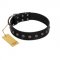 "Flower Rhapsody" FDT Artisan Premium Quaulity Black Leather Rottweiler Collar