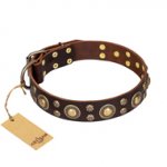 'Flower Melody' FDT Artisan Brown Leather Rottweiler Collar with Mixed Studs