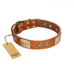 "Perfect Blend" FDT Artisan Tan Leather Rottweiler Collar 1 1/2 inch (40 mm) wide