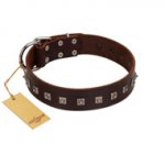 "Kingly Grace" FDT Artisan Brown Leather Rottweiler Collar with Silver-like Dotted Studs