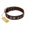 "Needle Stories" Modern FDT Artisan Brown Leather Rottweiler Collar with Square Engraved Plates and Four-Point Stars