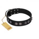 "Silver Medallions" Mod FDT Artisan Black Leather Rottweiler Collar with Round Plates