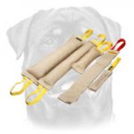 Rottweiler training set of jute bite tugs