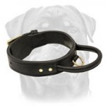 2 Ply Leather Agitation Dog Collar with Super Strong Handle