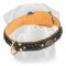 Royal Leather Rottweiler Collar with Inside Nappa Leather Lining