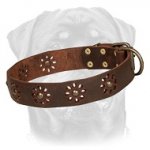 'Spring mood' Leather Dog Collar for Walking in Style