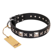 'Space Walk' FDT Artisan Black Leather Rottweiler Collar with Adornments