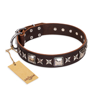 'Perfect Impression' FDT Artisan Rottweiler Brown Leather Dog Collar with Silvery Square Studs - 1 1/2 inch (40 mm) Wide