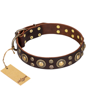 'Flower Melody' FDT Artisan Brown Leather Rottweiler Collar with Mixed Studs