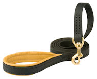 Nylon Dog Leash with padded handle