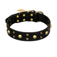 FDT Artisan 'Heavy Metal' Leather Rottweiler Collar with Skulls and Half-Balls 1 1/2 inch (40 mm)