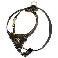 Stylish Handmade Leather Harness for your Rotty