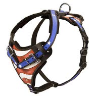 American Flag Painted Agitation/Protection Harness for Rottweiler