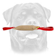 Rottweiler Bite Tug of Gentle Jute Material