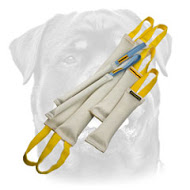 Doubled Dog Bite Tugs Set