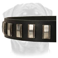 Quality Leather Rottweiler Collar with smooth plates