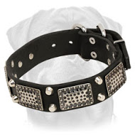 War Rottweiler Leather Collar