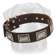 War Design Leather Dog Collar for Rottweiler