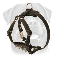 Leather Puppy Harness with Spiked Delicate Chest