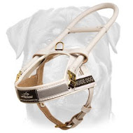 Daily Assistance White Leather Dog Harness for Rottweiler