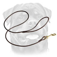Round Leather Dog Leash for Rottweiler