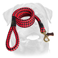 Cord nylon dog leash for Rottweiler