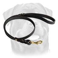 Handcrafted Leather Dog Leash for Walking and Tracking