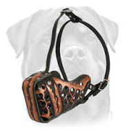 Hand Painted Leather Muzzle for Rottweiler