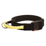 All Weather Nylon Best Heavy Duty Rottweiler Collar
