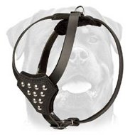 Designer Leather Dog Harness for Puppy Walking and Training